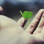 The Real Work is Stewardship