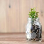 Social Market Economy integrated with a Negative Income Tax (NIT)